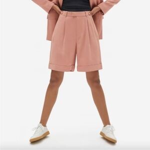 Everlane The Put Together Pleat Dress Short Dark Rose Pink Long High Waist - 6
